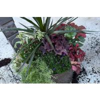 Wednesday, September 23
