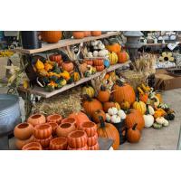 Wednesday, October 14th