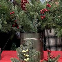 Saturday November 15th 1:00 Pm