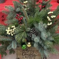 Tuesday November 25th 5:30 PM