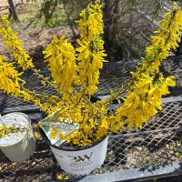 Tuesday - May 12th 6:00 PM