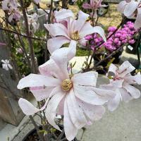 Thursday - May 14th 6:00 PM