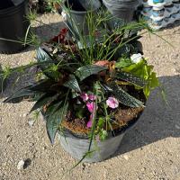 Wednesday - May 20th 6:00 PM